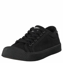 Pallaphoenix Og Cvs Black