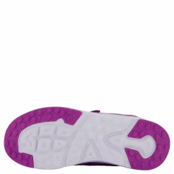 Perry Purple