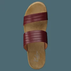 Randi Winered