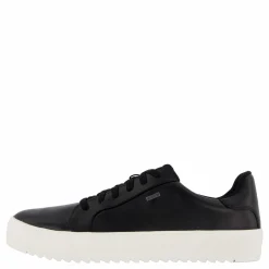 Rex Turin Gtx Black