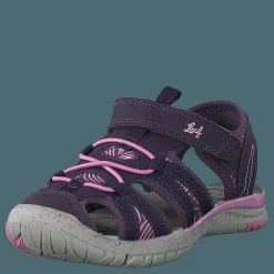 Salo Dk Purple