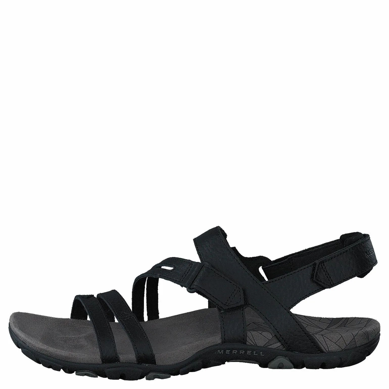 Sandspur Rose Convert Black