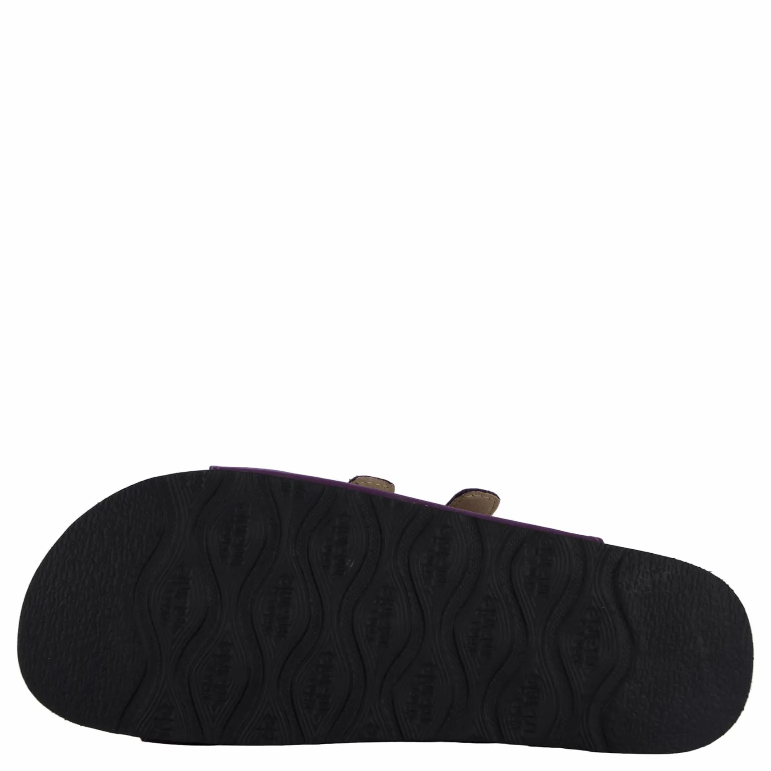 Shell Purple Heart