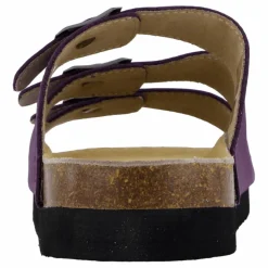 Shell Purple Heart