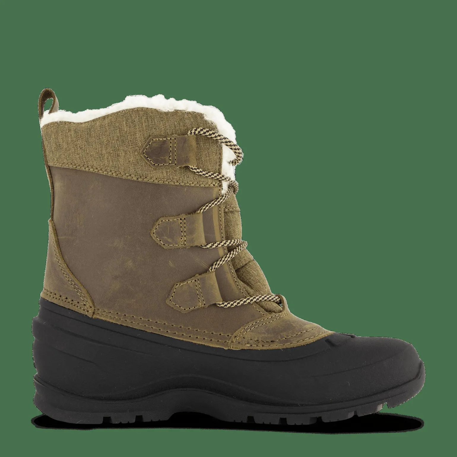 Snowgem Lo Fossil
