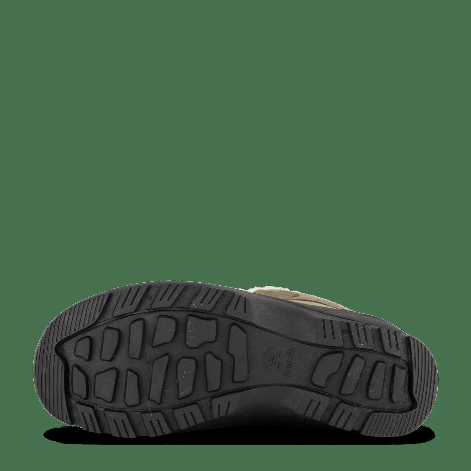 Snowgem Lo Fossil