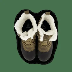 Snowgem Lo Fossil