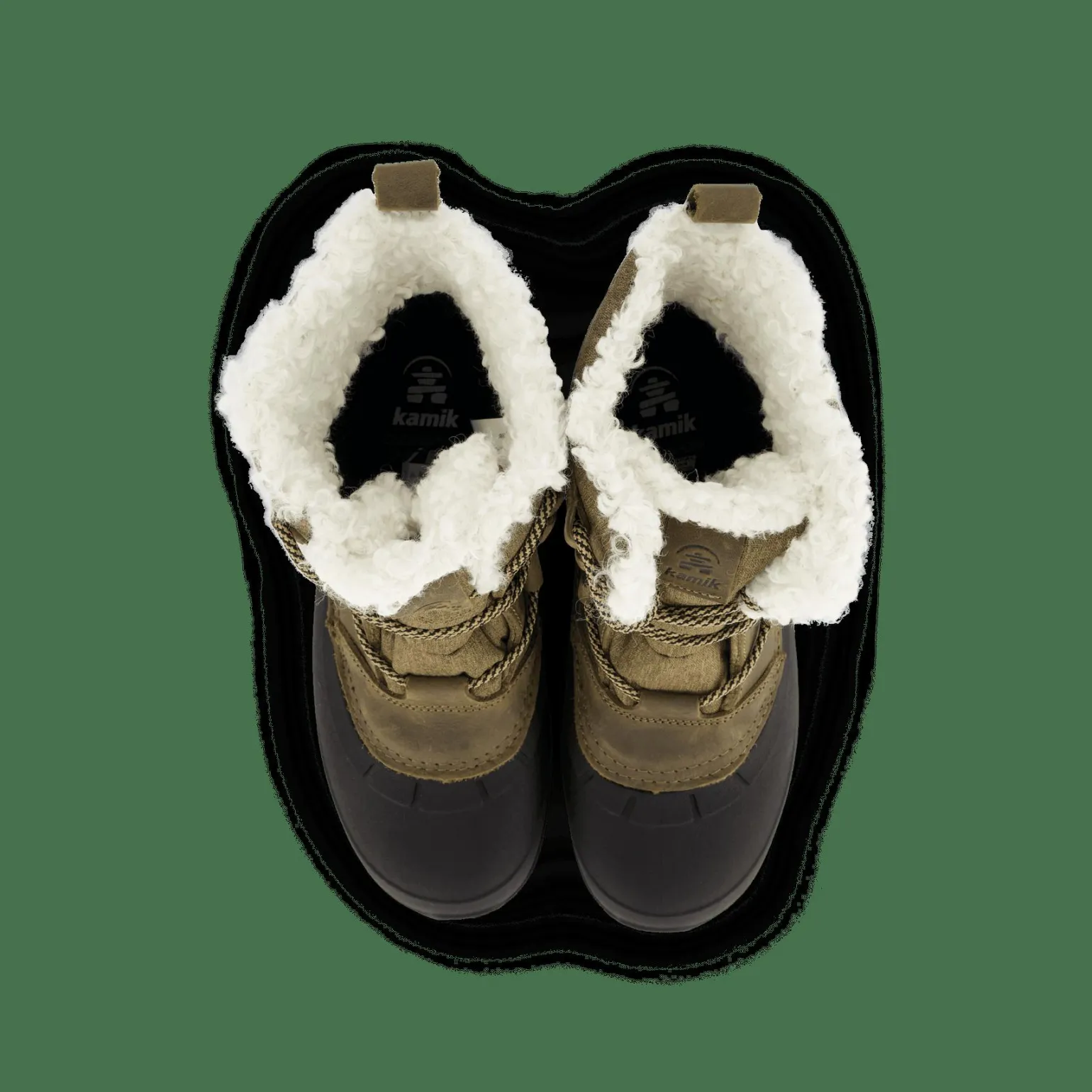 Snowgem Lo Fossil
