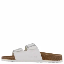 Spectra W White