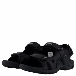 Spider Pro Black