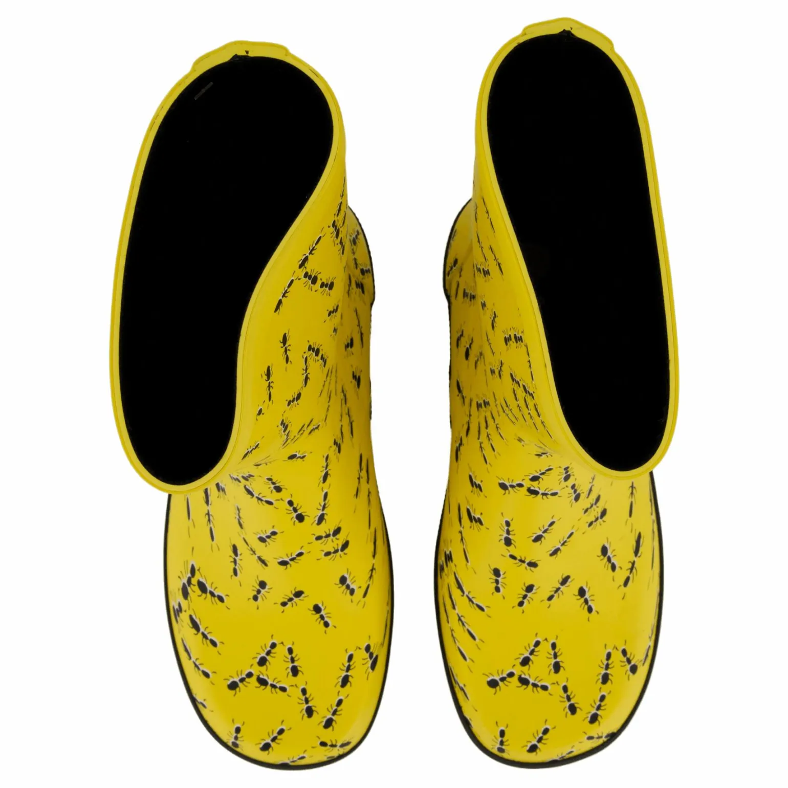 Splash Yellow Ants