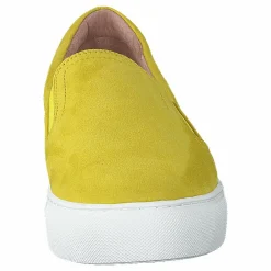 Starlily Yellow