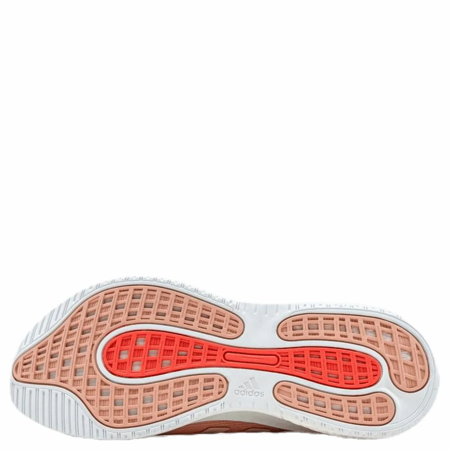 Supernova Shoes Glow Pink / Glow Pink / Signal Pink / Coral