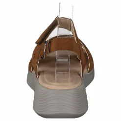Swing Brown