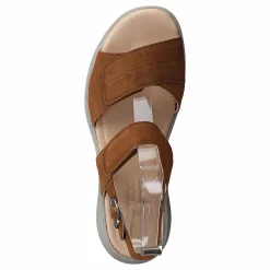 Swing Brown