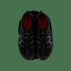 Terracruise Black
