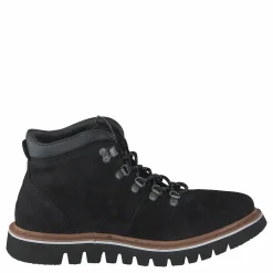 Toronto Black