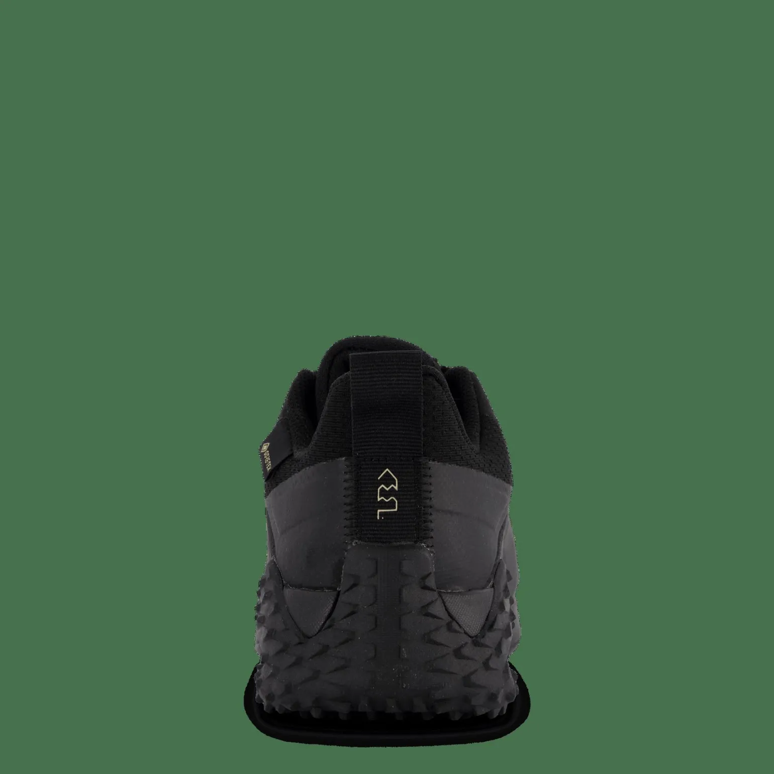 Trail Cruiser Gtx Black/black/moondust Met.