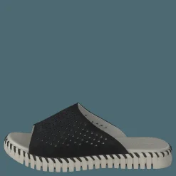 Tulip1375 Black