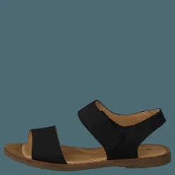 Tulip Ibón Black