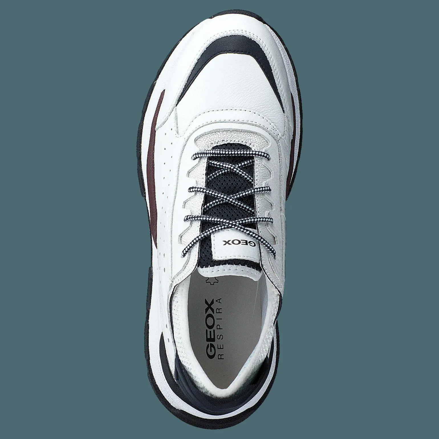 U Regale White