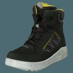 Urban Snowboarder Deep Forest