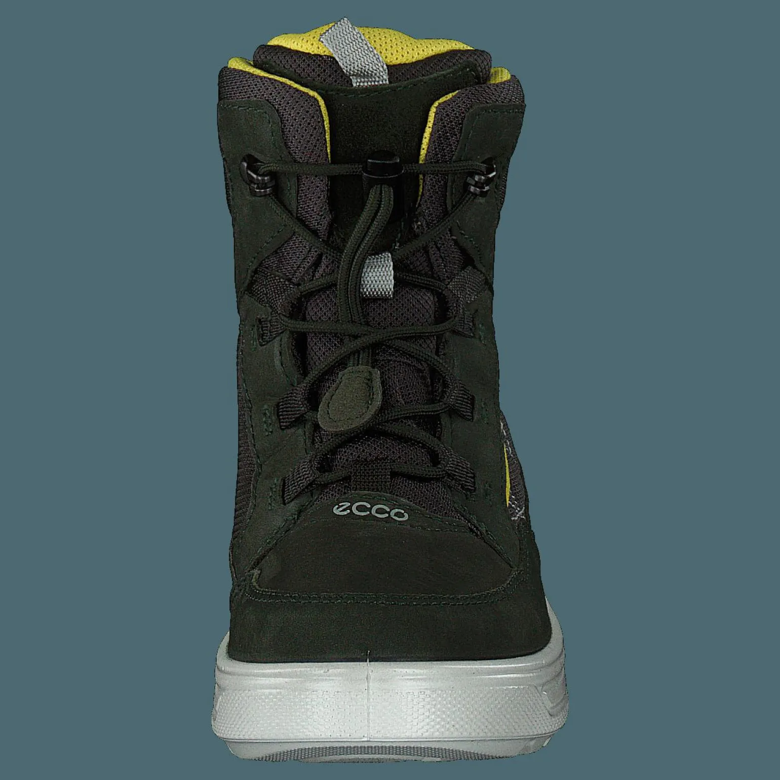 Urban Snowboarder Deep Forest