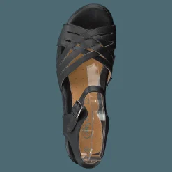 Volti Black