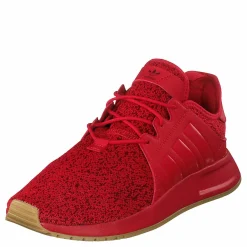 X_plr Scarle/scarle/gum3