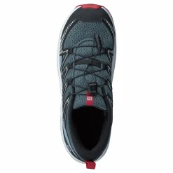 Xa Pro V8 J Stormy Weather/zen Blue/goji B